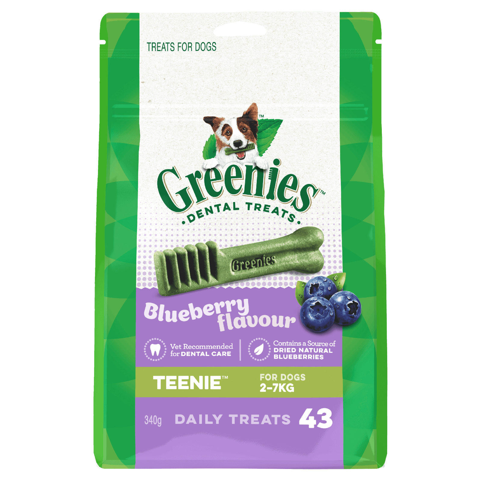 Greenies – Dental Dog Treats – Blueberry - The Pet Standard
