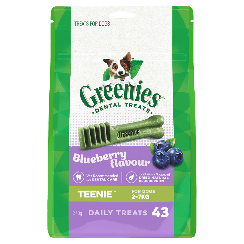 Greenies – Dental Dog Treats – Blueberry - The Pet Standard