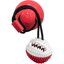 The Pet Standard - Dental Tug-O-War Suction Toy