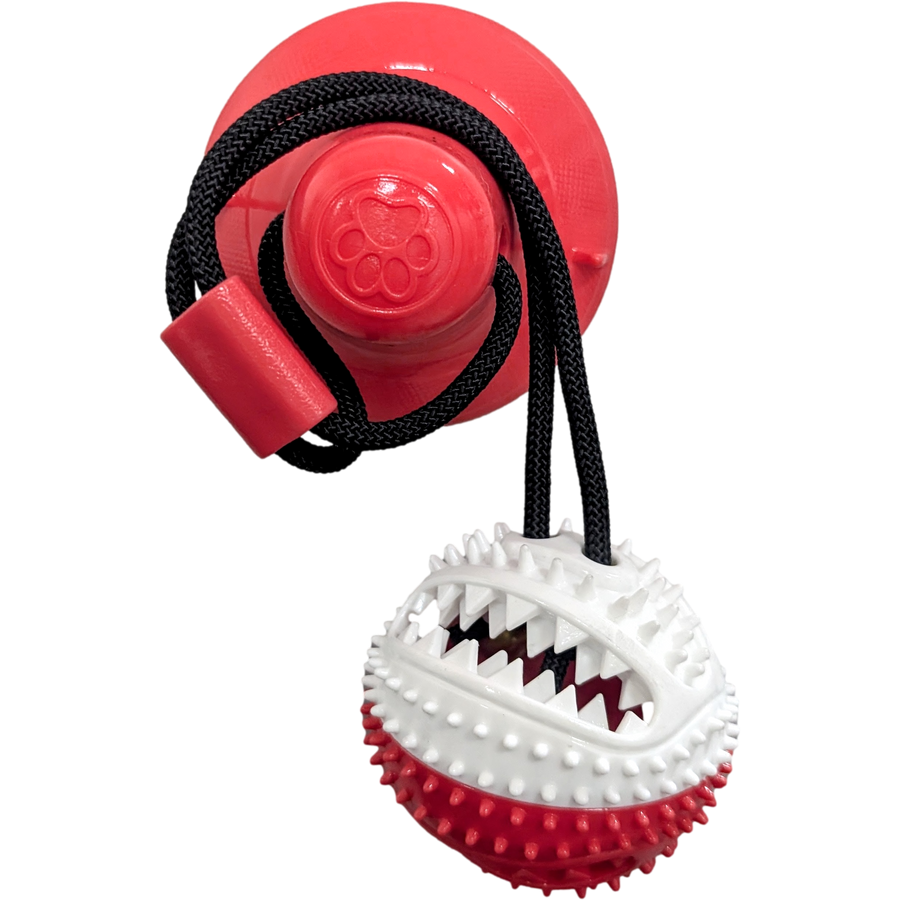 The Pet Standard - Dental Tug-O-War Suction Toy