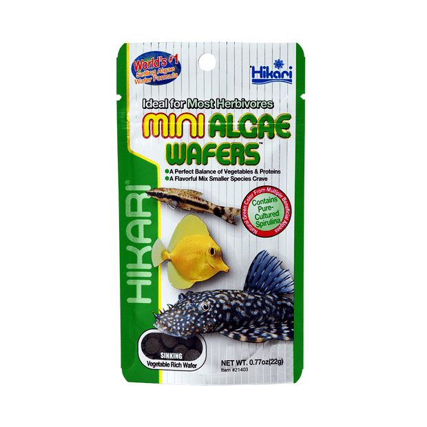 Hikari – Algae Wafers – Mini - The Pet Standard