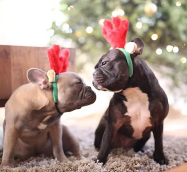 Dogs Christmas Antlers Headband