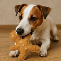 Hugo Gingerbread - Dogs Treat