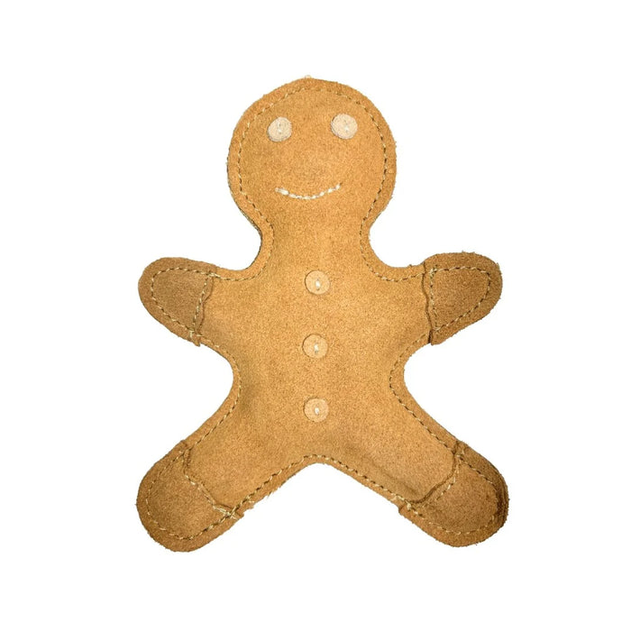 Hugo Gingerbread - Dogs Treat