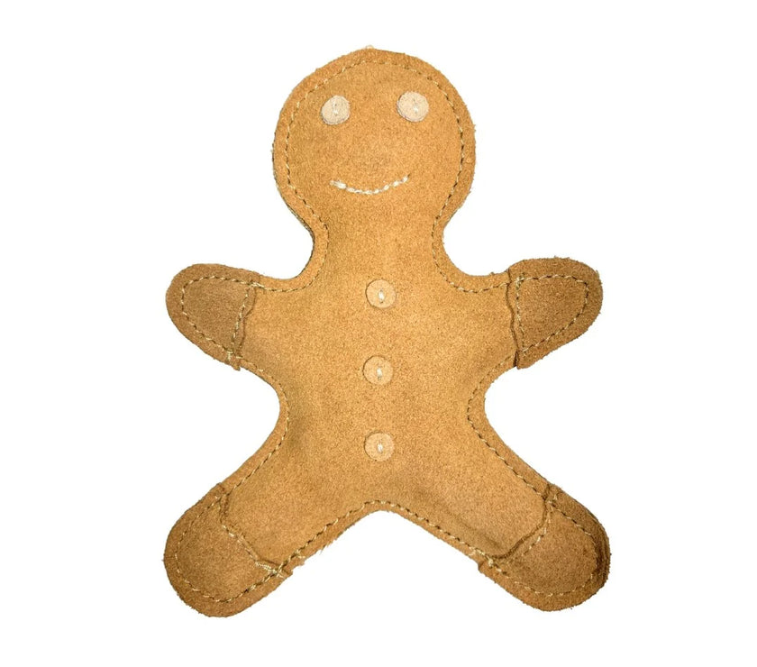 Hugo Gingerbread - Dogs Treat