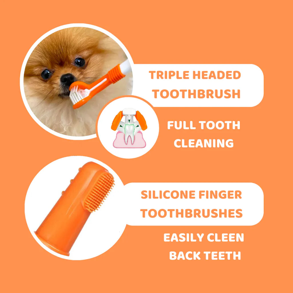 Dogslife – Dental Care Kit - image 3