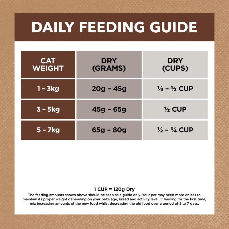 Ivory Coat – Adult Cat – GRAIN FREE – Chicken & Kangaroo - The Pet Standard