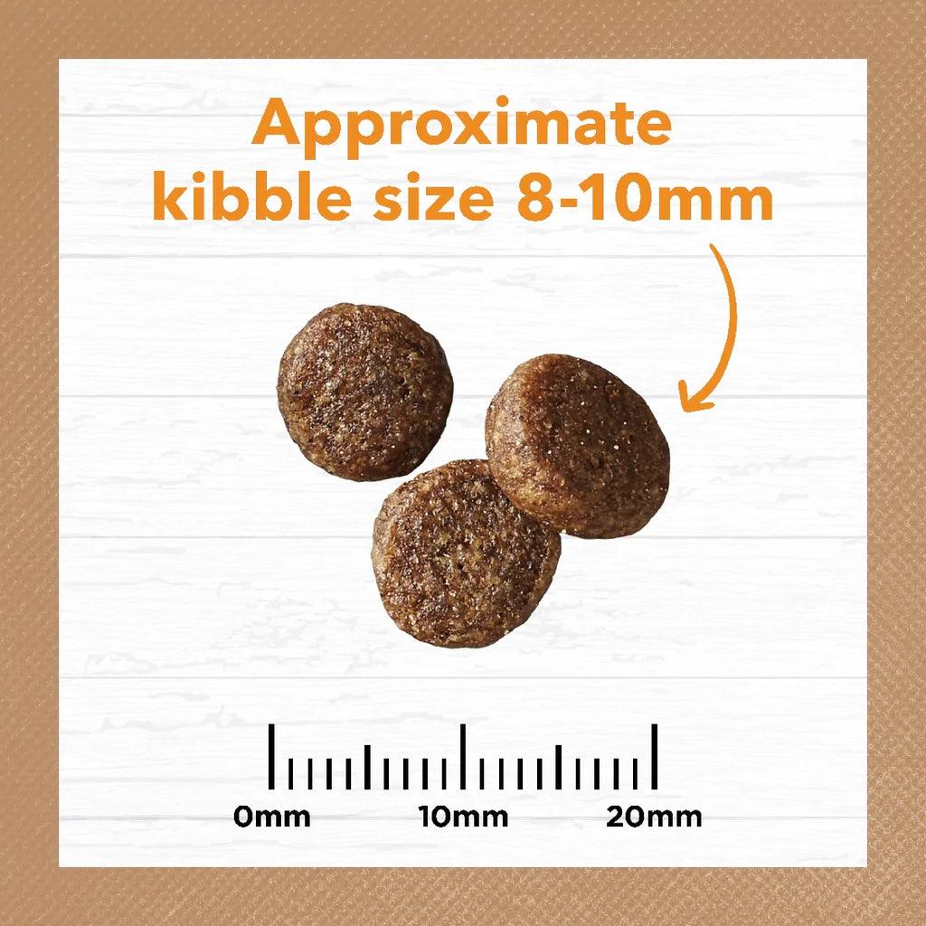 Ivory Coat – Adult Cat – GRAIN FREE – Chicken - The Pet Standard