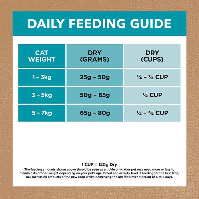 Ivory Coat – Adult Cat – GRAIN FREE – Ocean Fish & Salmon - The Pet Standard