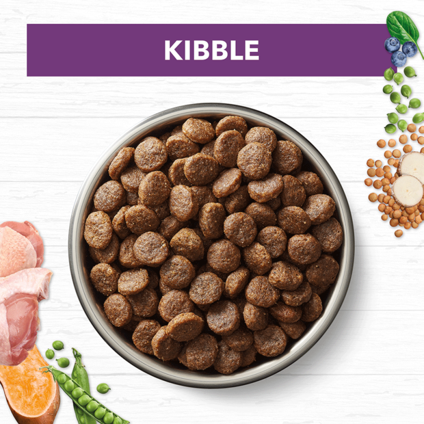 Mature Dog Food – Turkey – GRAIN FREE
