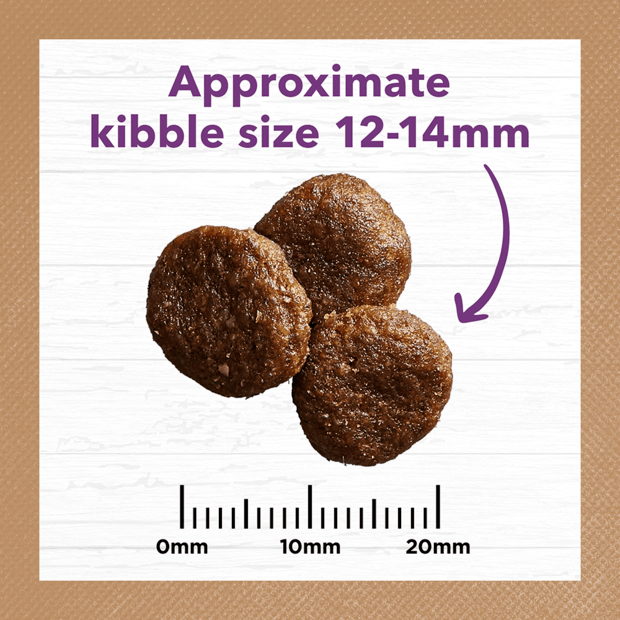 Mature Dog Food – Turkey – GRAIN FREE