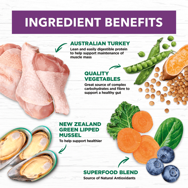 Mature Dog Food – Turkey – GRAIN FREE