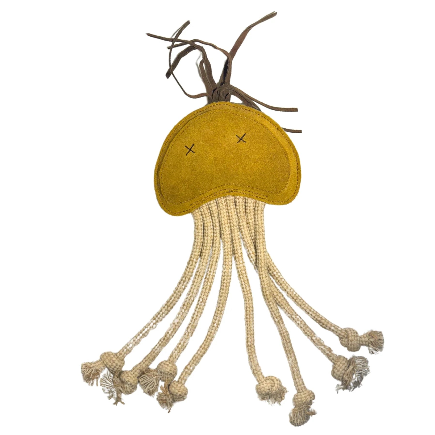 Georgie Paws – Joe Jellyfish - image 2