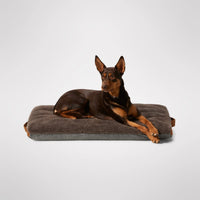 MiniJumbuk Jumbuk Swag Dog Mattress – Mocha