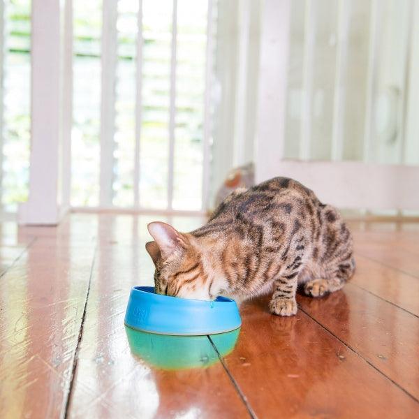 LickiMat – Cat OH Bowl - The Pet Standard