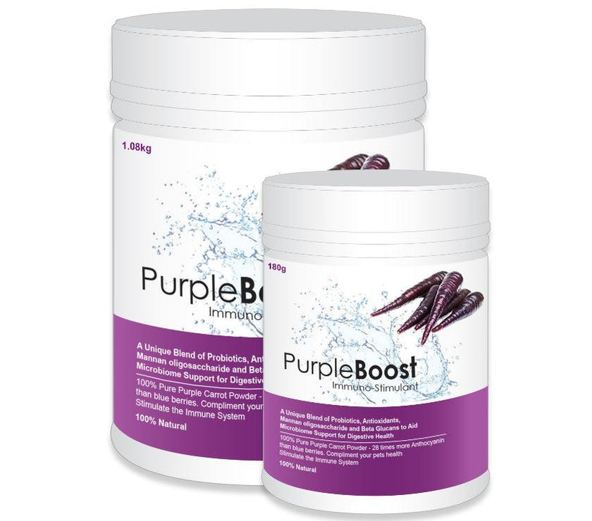 LifeWise – Purple Boost – Immuno-Stimulant - The Pet Standard