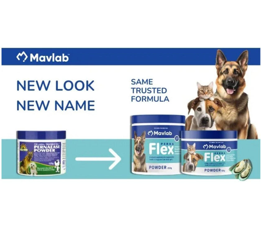 Mavlab – PERNAFlex Powder - The Pet Standard