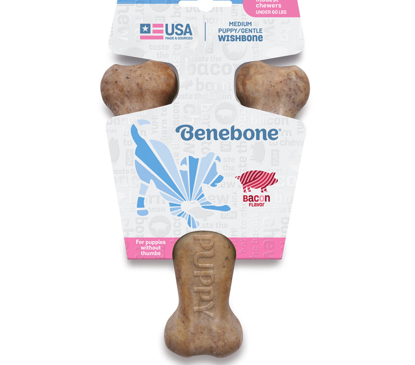 Benebone – Bacon Puppy Wishbone