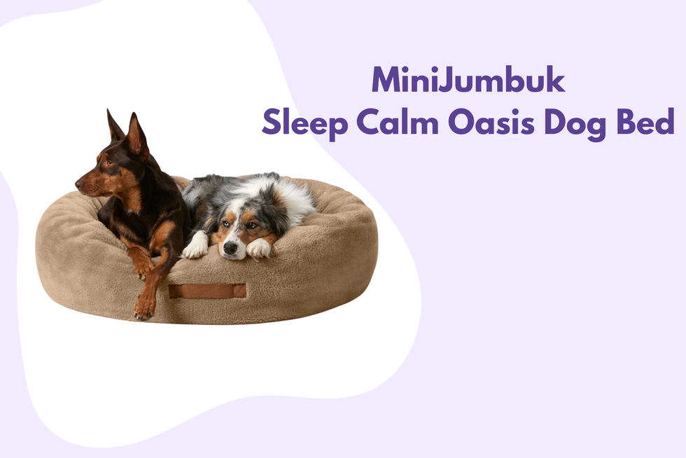 MiniJumbuk Sleep Calm Oasis Dog Bed - Fawn Calming Donut Bed