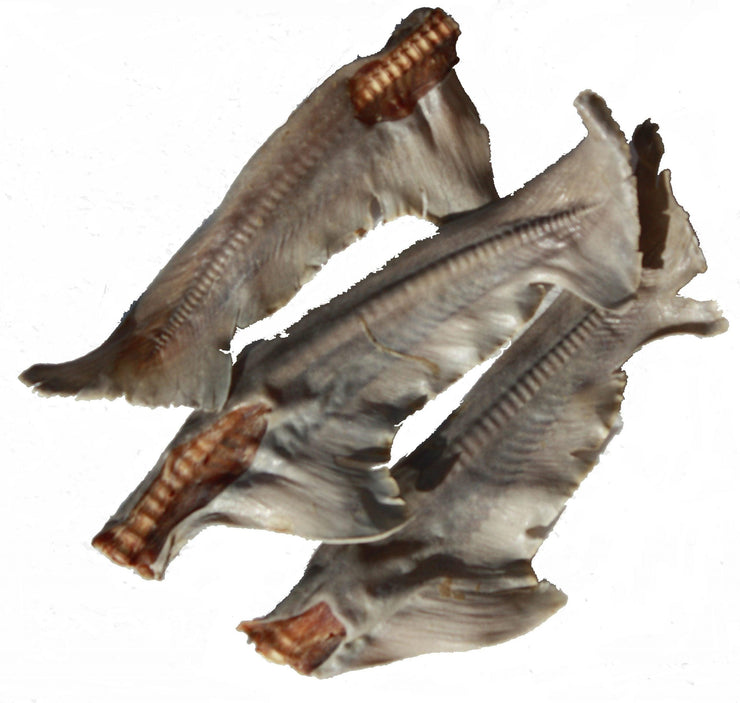 Nature’s Menu – Australian Shark Tails - The Pet Standard