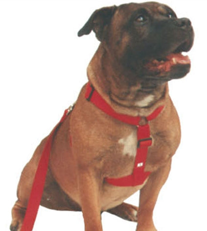 Beau Pets – Walking Harness - image 2