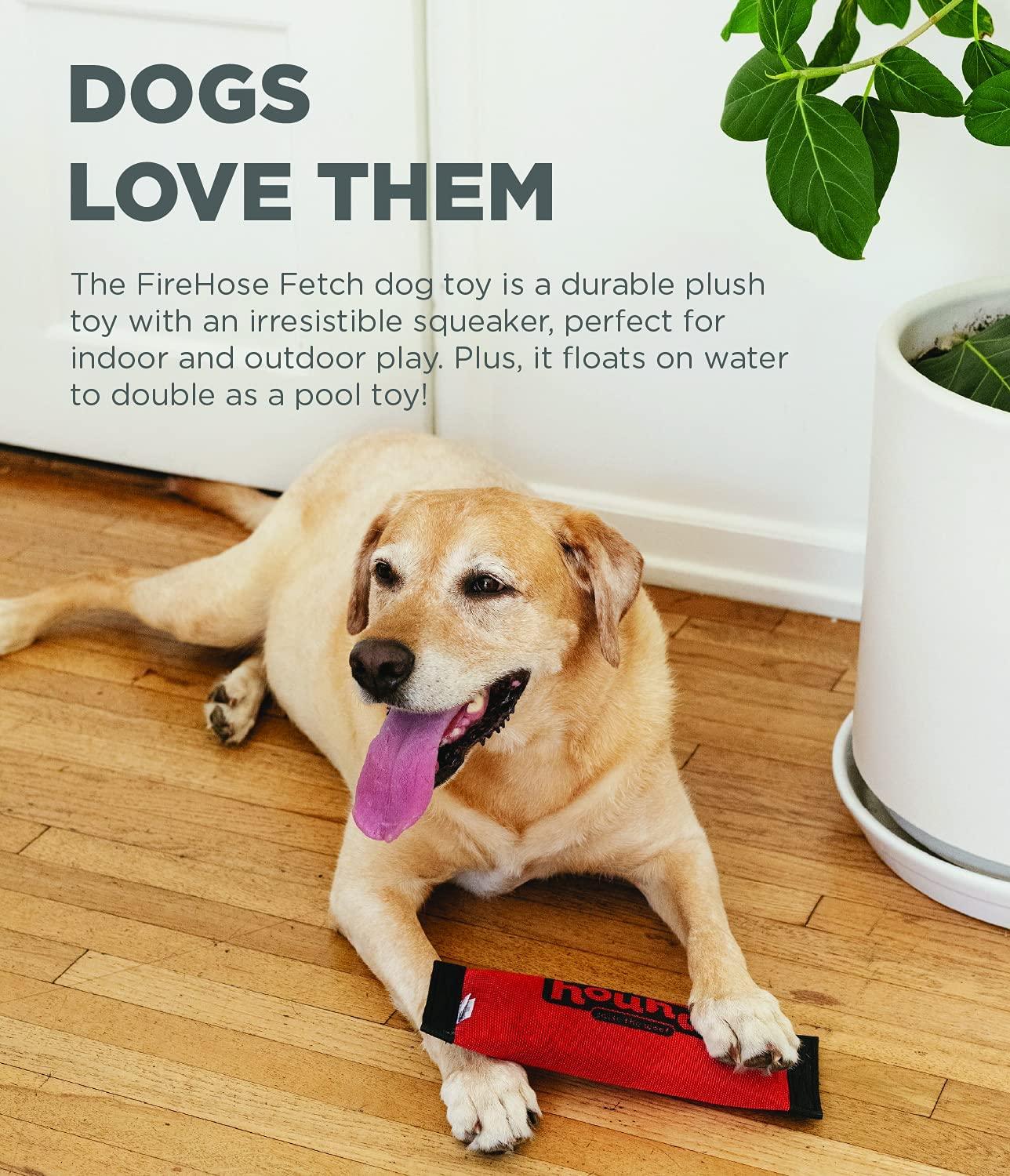 Outward Hound – Firehose Fetch - The Pet Standard