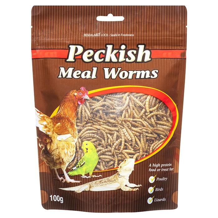 Peckish – Meal Worms - The Pet Standard