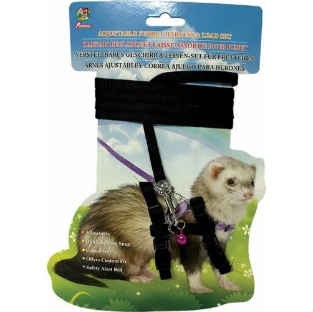 Percell – Ferret Harness - The Pet Standard