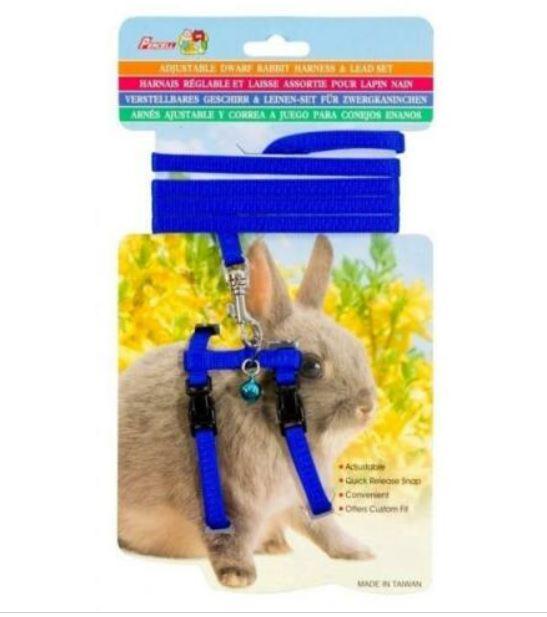 Percell – Rabbit Harness - The Pet Standard