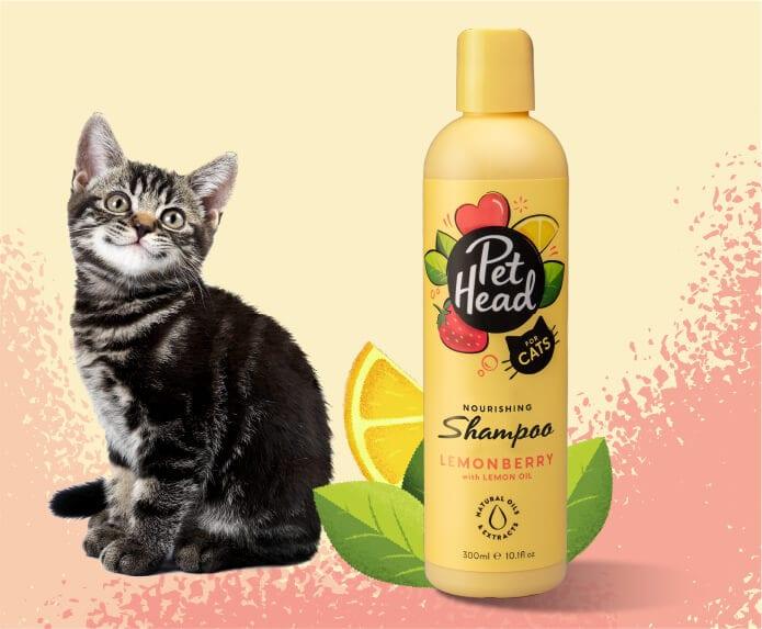 Pet Head – Cats - Lemon Berry Shampoo - The Pet Standard