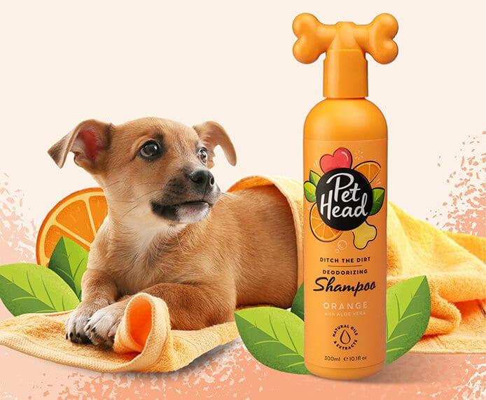 Pet Head – Ditch the Dirt Deodorising Range - The Pet Standard