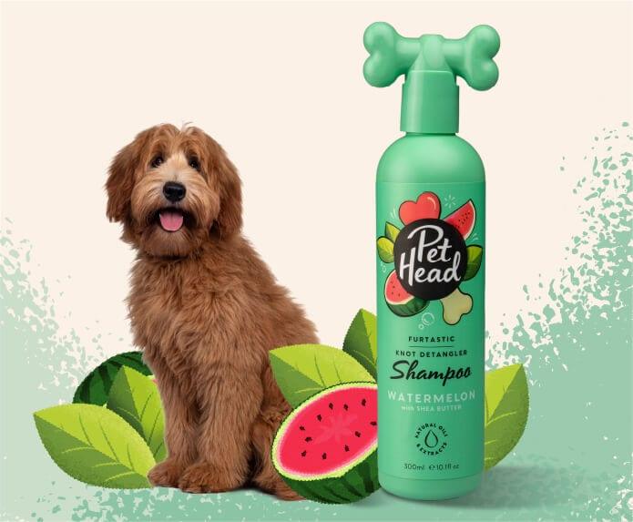 Pet Head – Knot Detangler Shampoo - The Pet Standard