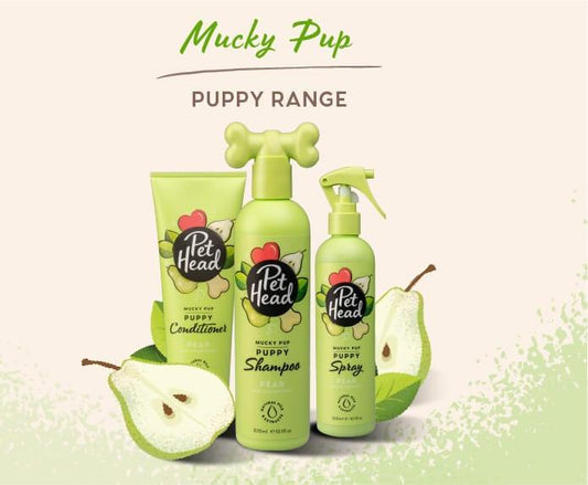 Pet Head – Mucky Pup - Puppy Range - The Pet Standard