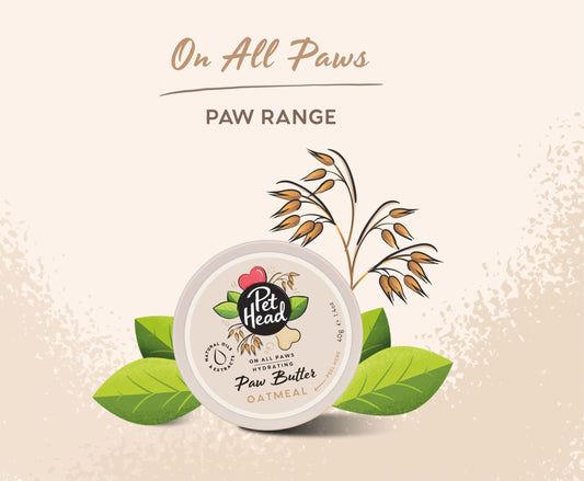 Pet Head – On All Paws - Oatmeal Paw Butter - The Pet Standard