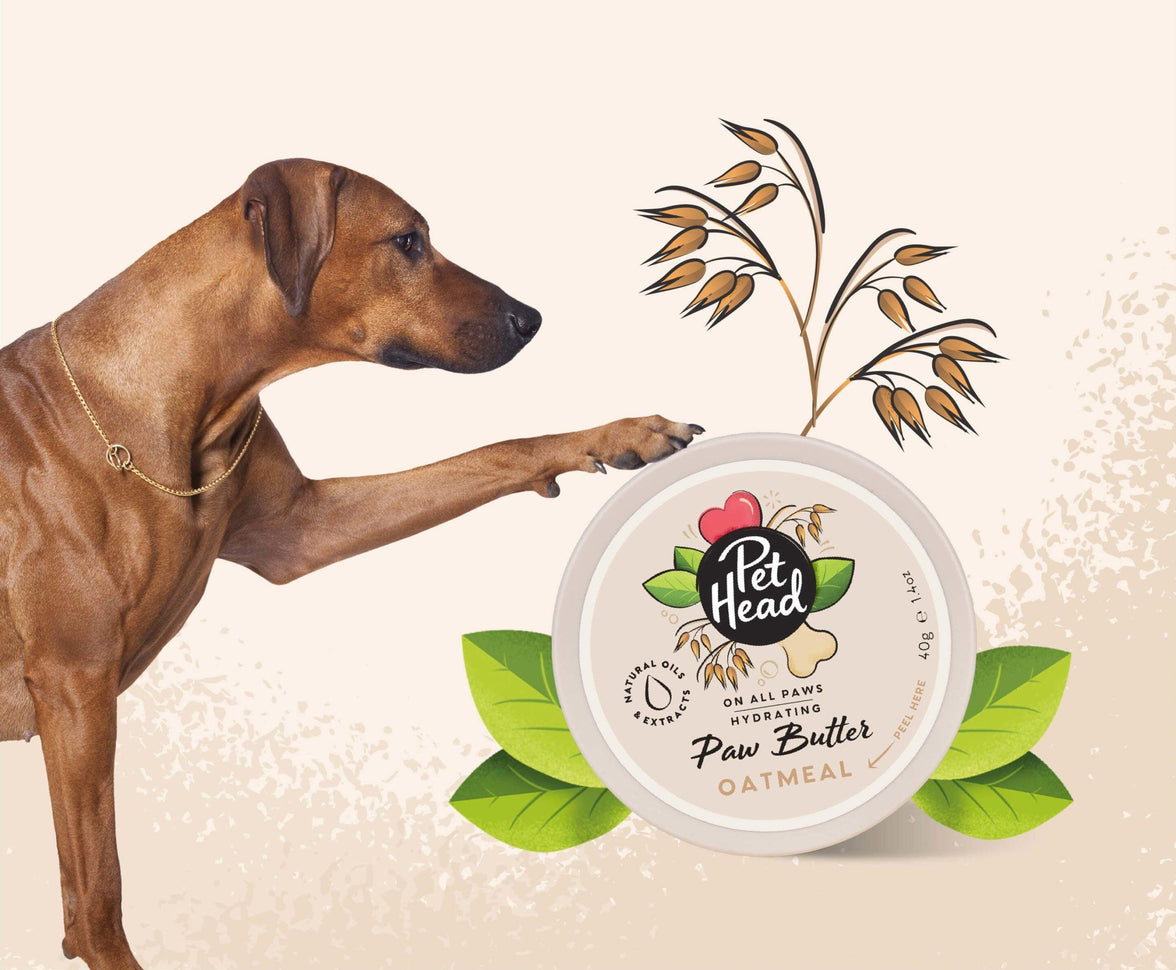 Pet Head – On All Paws - Oatmeal Paw Butter - The Pet Standard