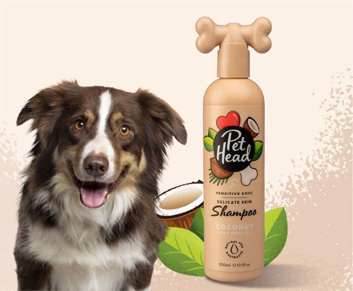 Pet Head – Sensitive Soul Coconut Dog Shampoo - The Pet Standard