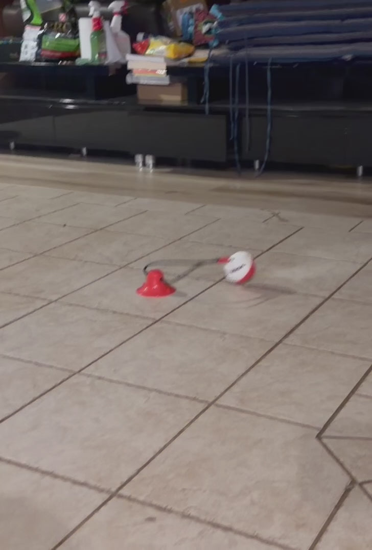 Load video: The Pet Standard - Dental Tug-O-War Suction Toy