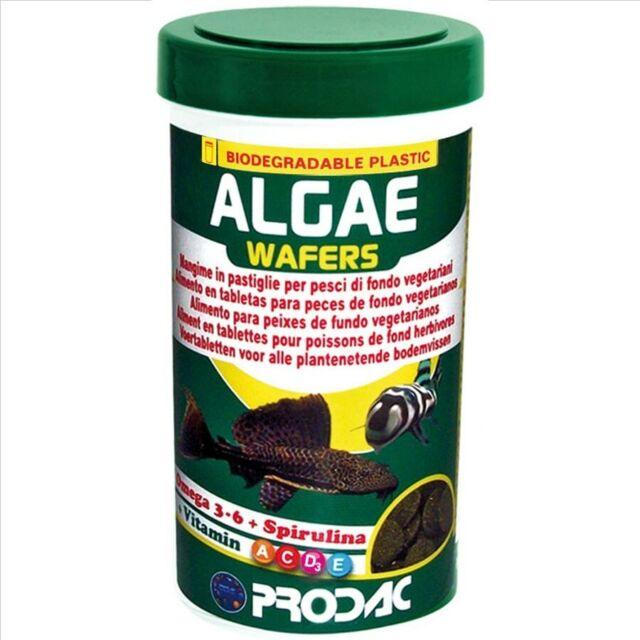 Prodac – Algae Wafers - The Pet Standard