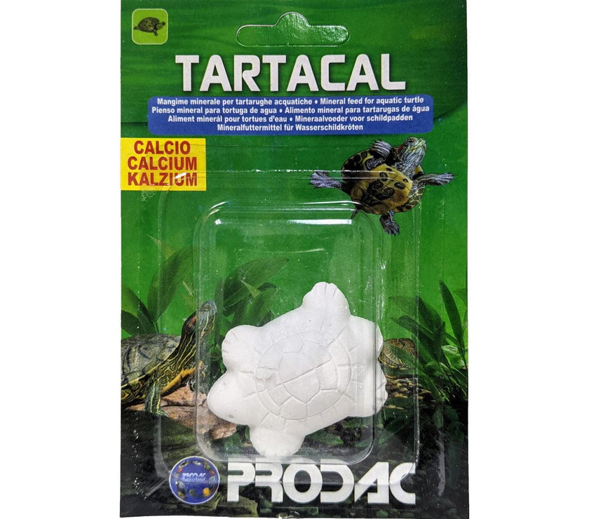 Prodac – Turtle – Calcium Block - The Pet Standard