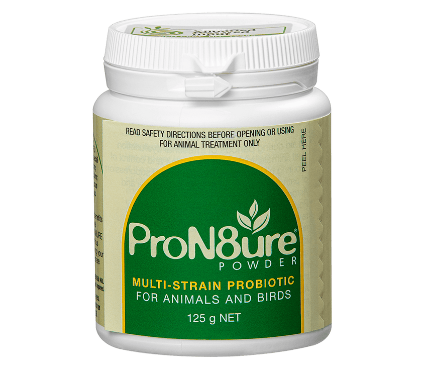 ProN8ure – Powder - The Pet Standard