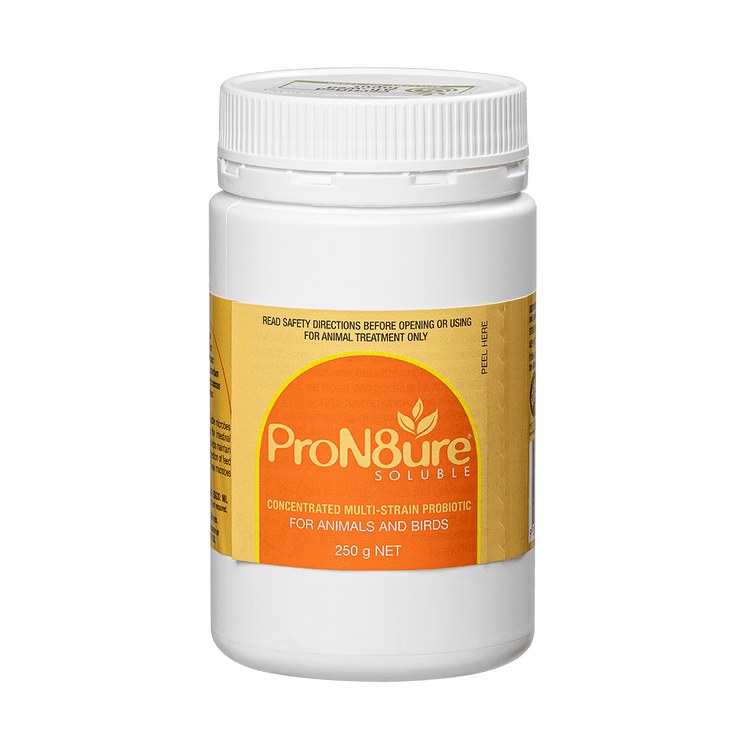 ProN8ure - Soluble - The Pet Standard