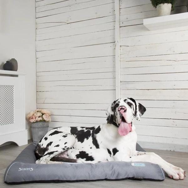 Scruffs – Cooling Bed - The Pet Standard