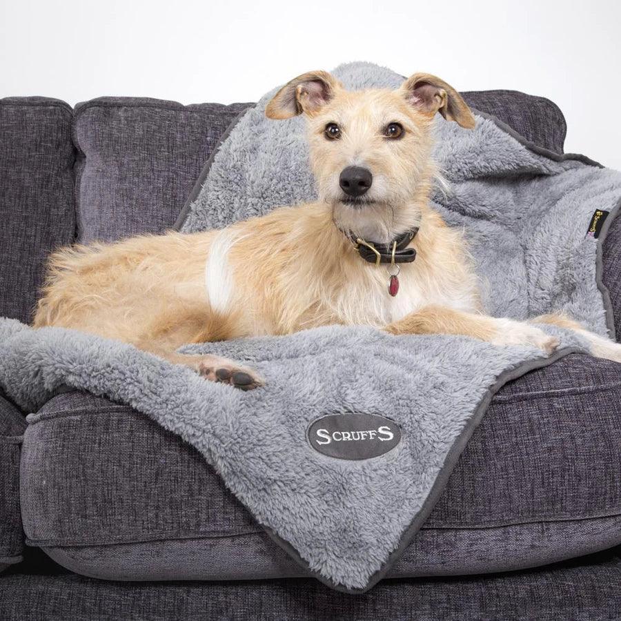 Scruffs – Cosy Blanket – Grey - The Pet Standard