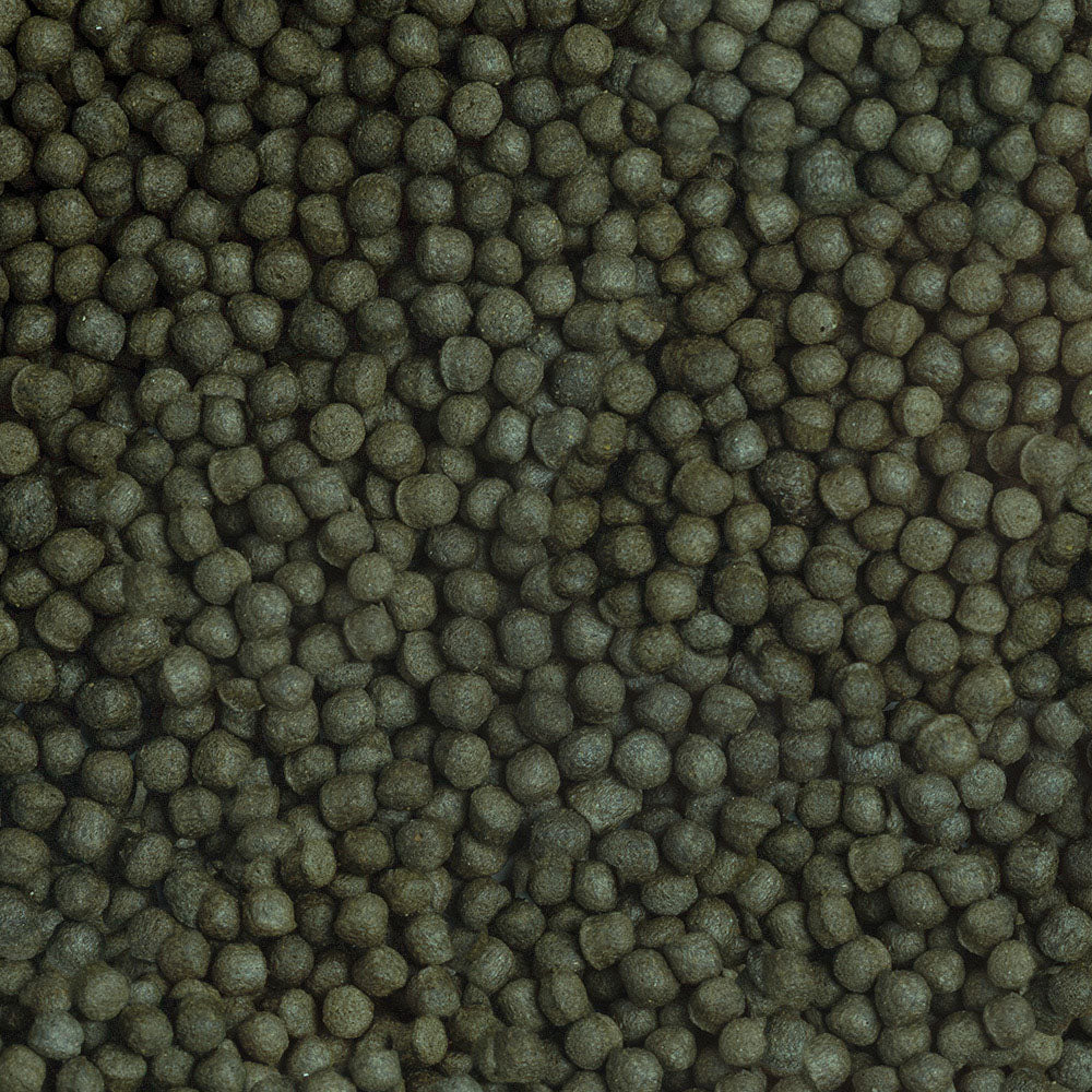 Sera – Cichlid Herbivore Granules XL - image 2
