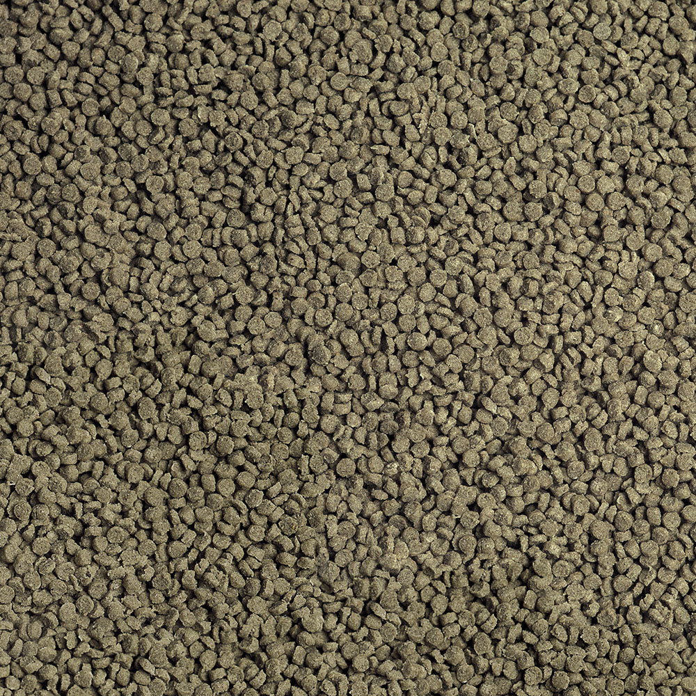 Sera – Cichlid Malawi Granules