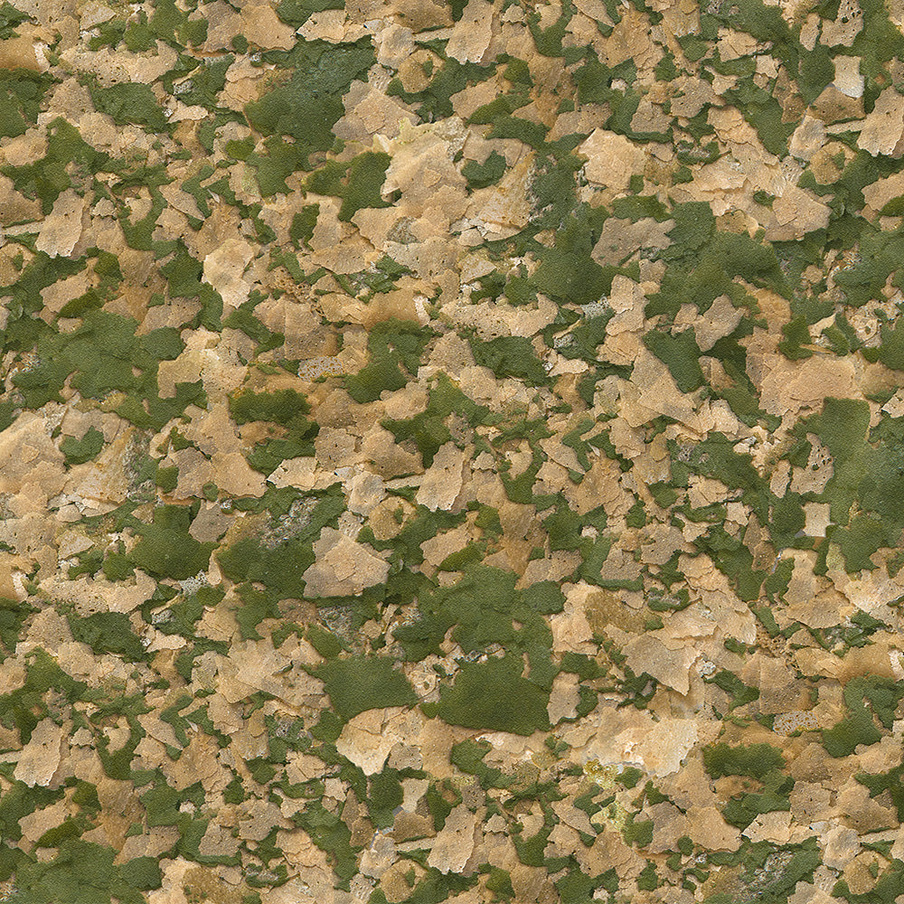 Sera Vipan Tropical Flakes