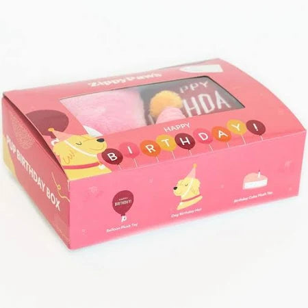 Dogs Plush Toy Birthday Box