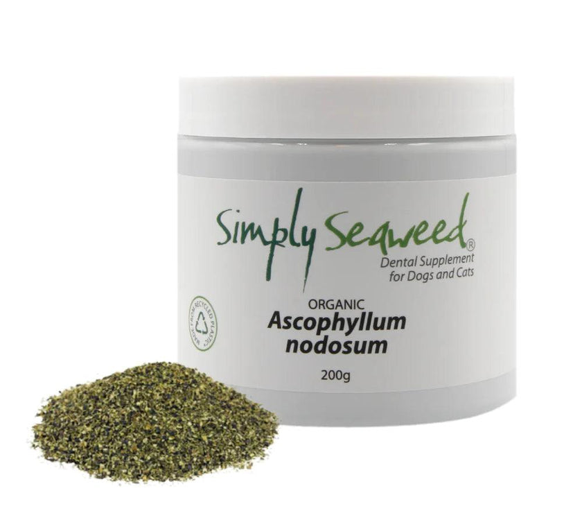 Simply Seaweed – Dental Supplement - The Pet Standard