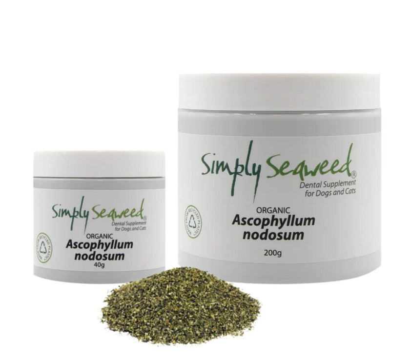 Simply Seaweed – Dental Supplement - The Pet Standard