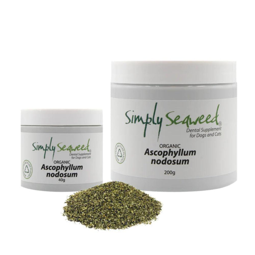 Simply Seaweed – Dental Supplement - The Pet Standard